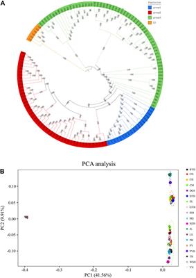 Asian Swamp eel Monopterus albus Population Structure and Genetic Diversity in China